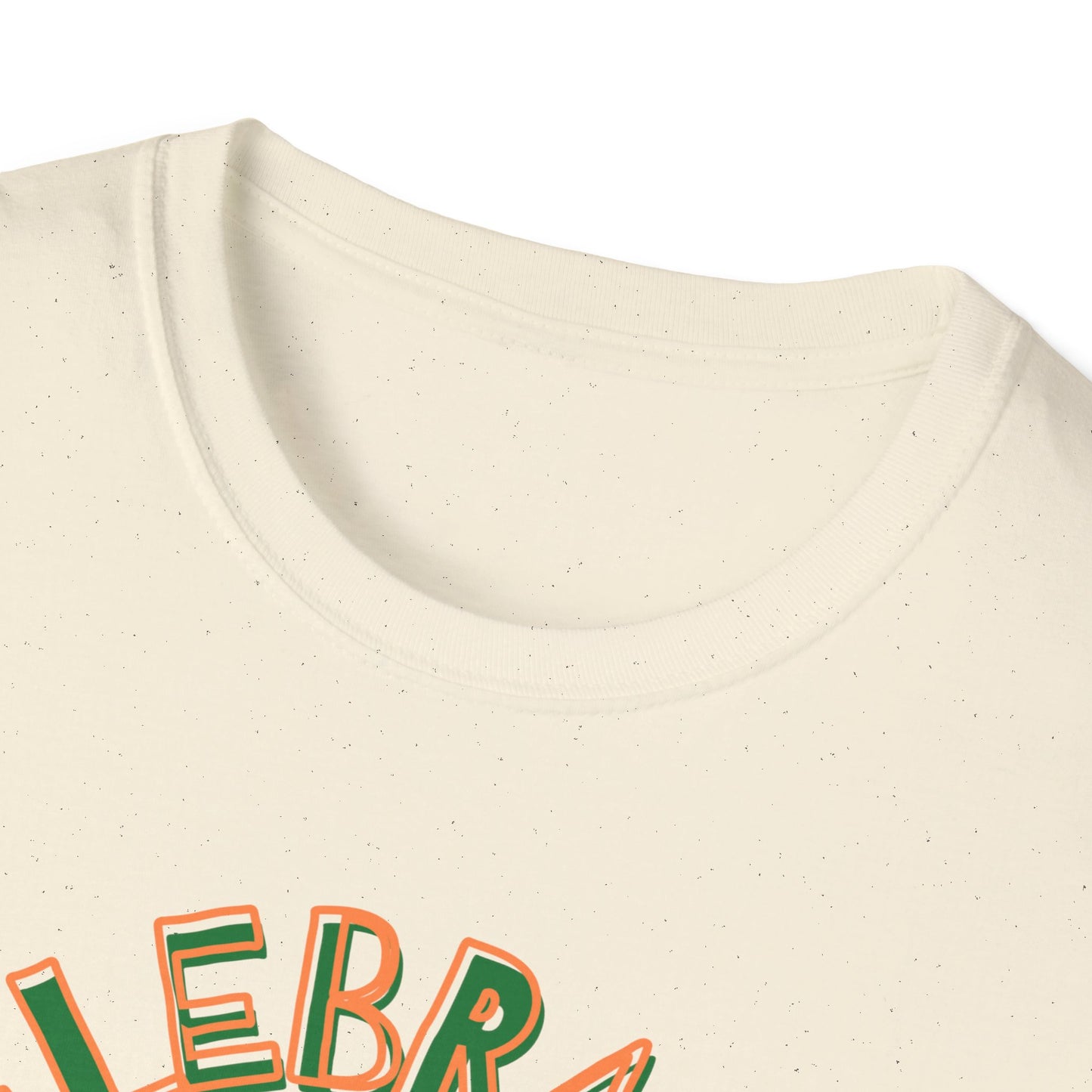 Juneteenth Celebrate Liberate Educate Shirt, Shirt for Juneteenth, Gift for Juneteenth, Shirt for Black History, American History Shirt - Mighty Lifestyle