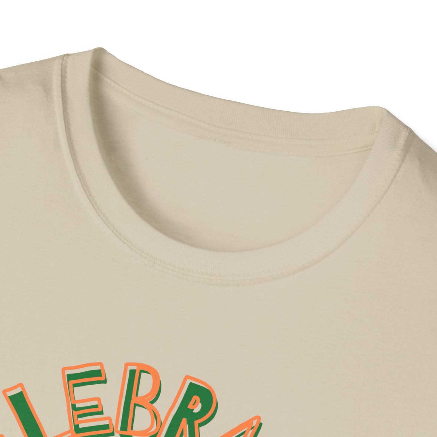 Juneteenth Celebrate Liberate Educate Shirt, Shirt for Juneteenth, Gift for Juneteenth, Shirt for Black History, American History Shirt - Mighty Lifestyle