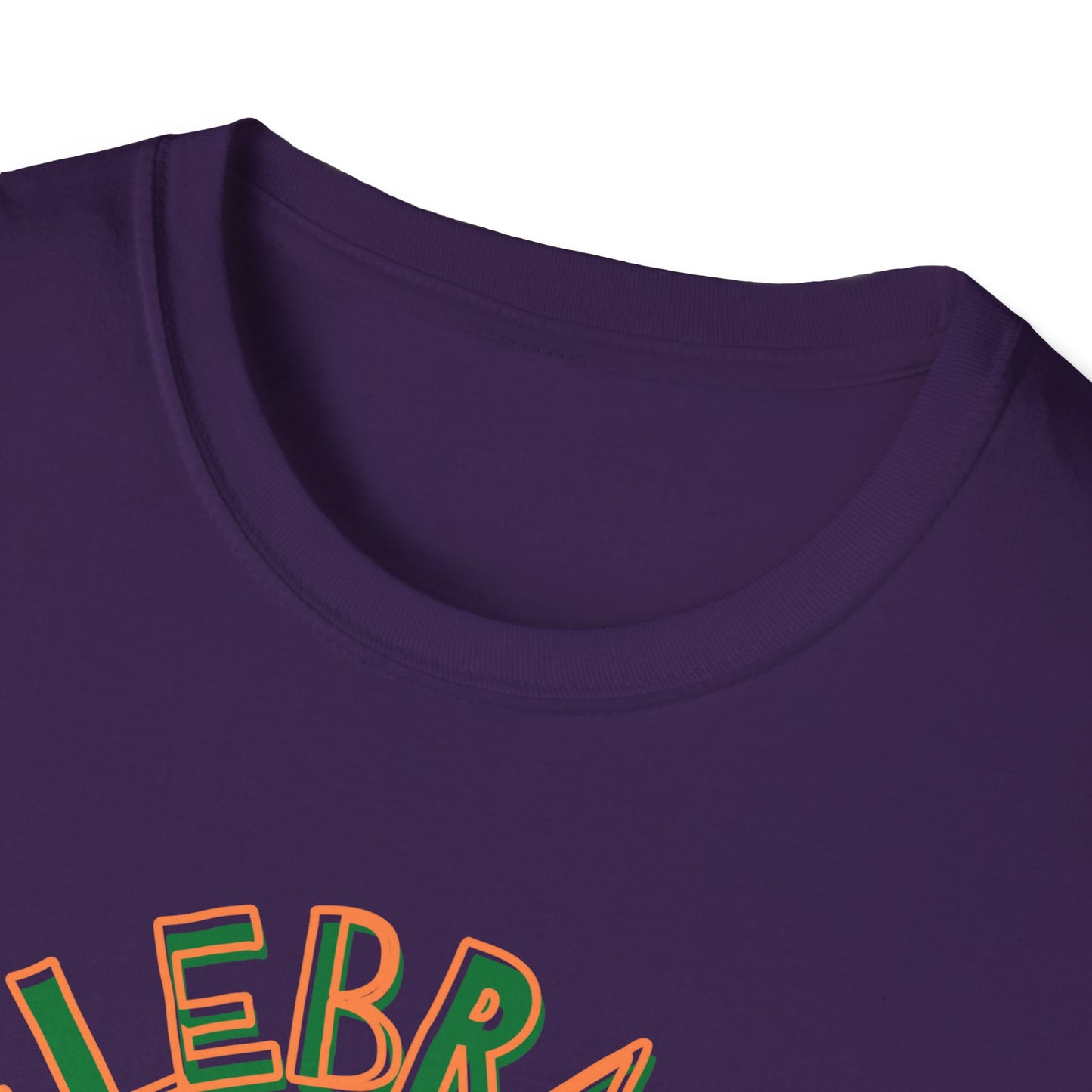 Juneteenth Celebrate Liberate Educate Shirt, Shirt for Juneteenth, Gift for Juneteenth, Shirt for Black History, American History Shirt - Mighty Lifestyle