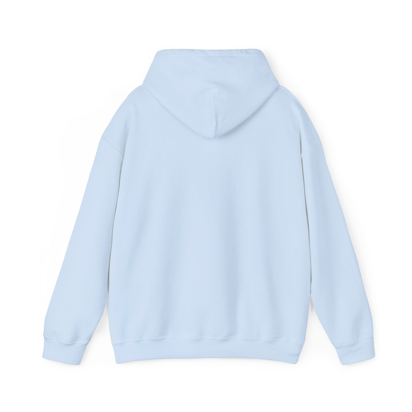 PROFESSOR HOODIE