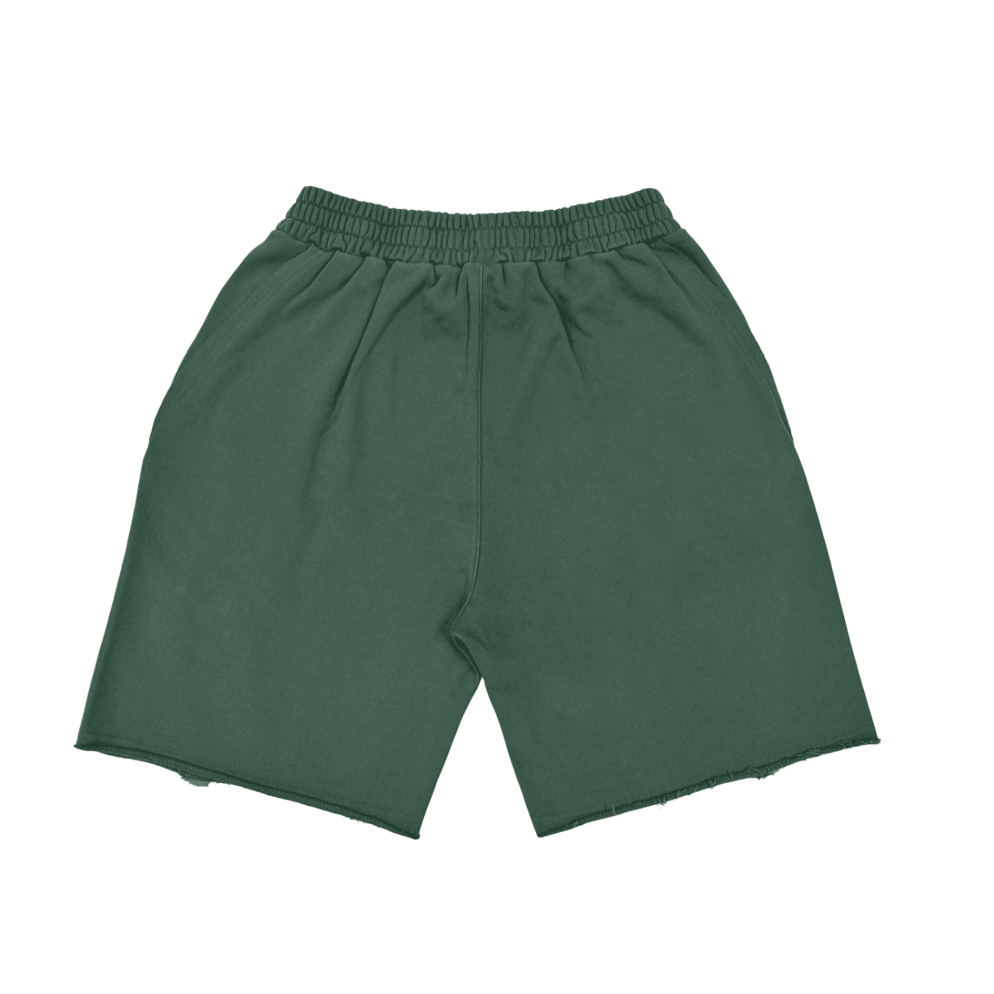 Florida A&M U Shorts Florida A&M University Shorts FL A&M U Rattler Proud Rattler Vintage Washed Tiger Stripes Short Pants Unisex