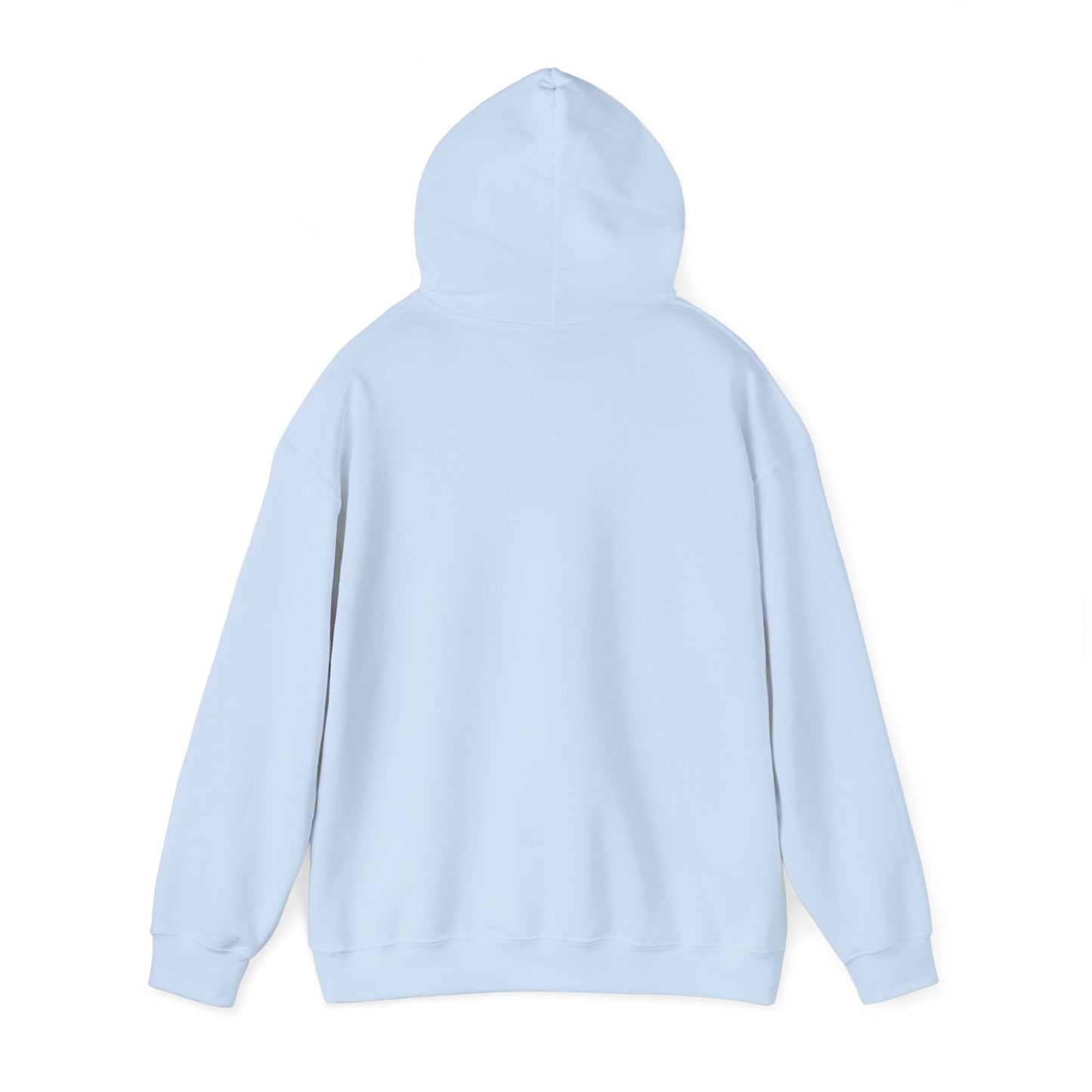 PROFESSOR HOODIE