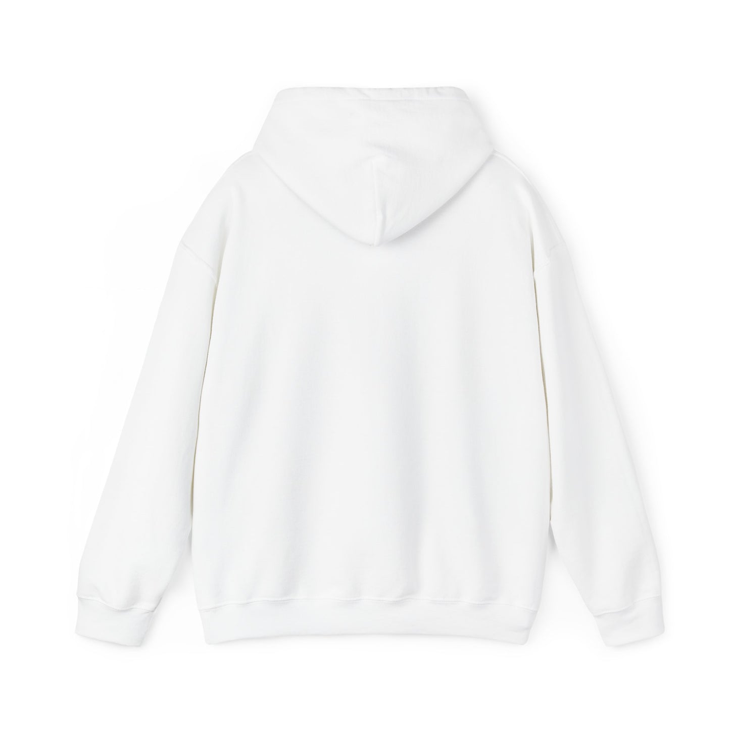 PROFESSOR HOODIE