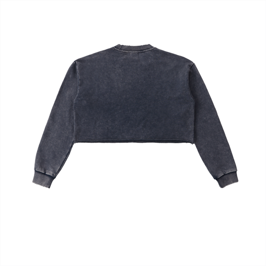 Howard University, Howard U, HU Bison Snow Washed Raw Edge Cropped Sweatshirt