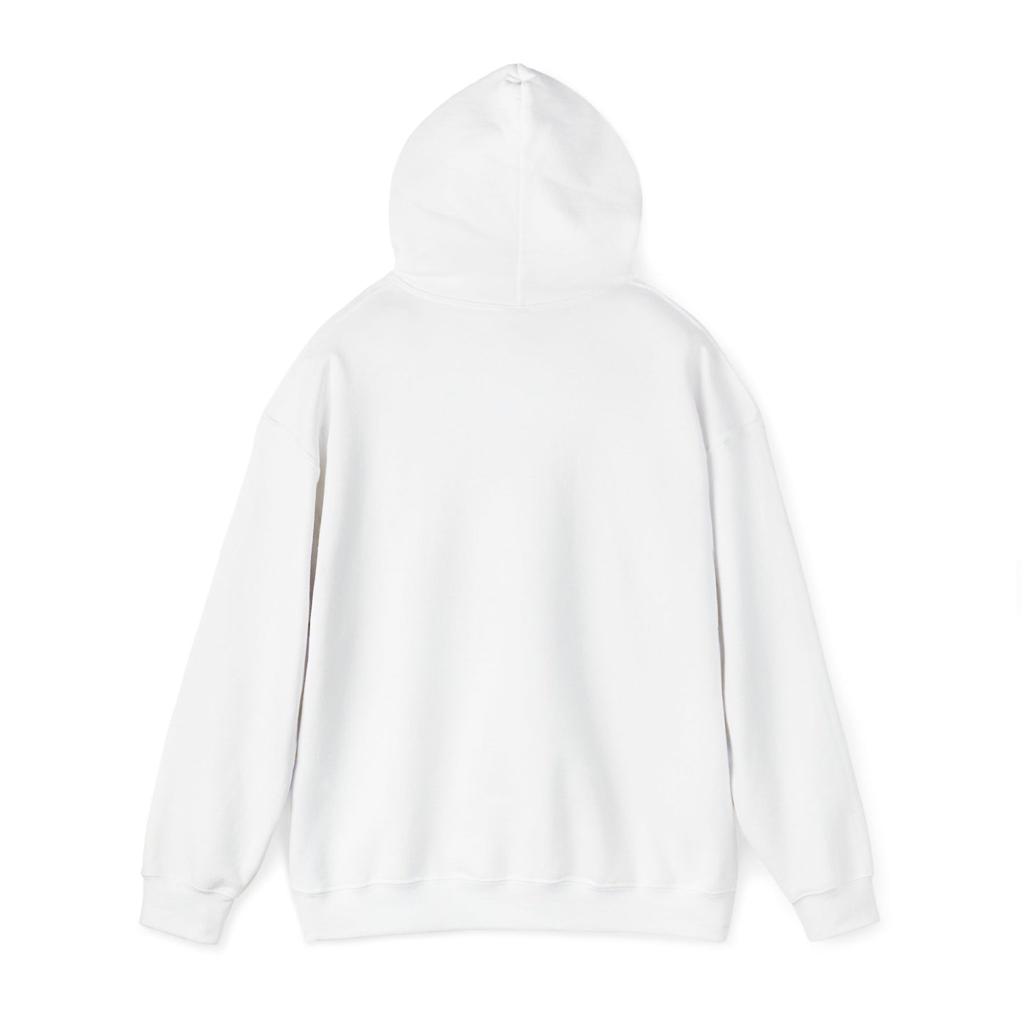 PROFESSOR HOODIE