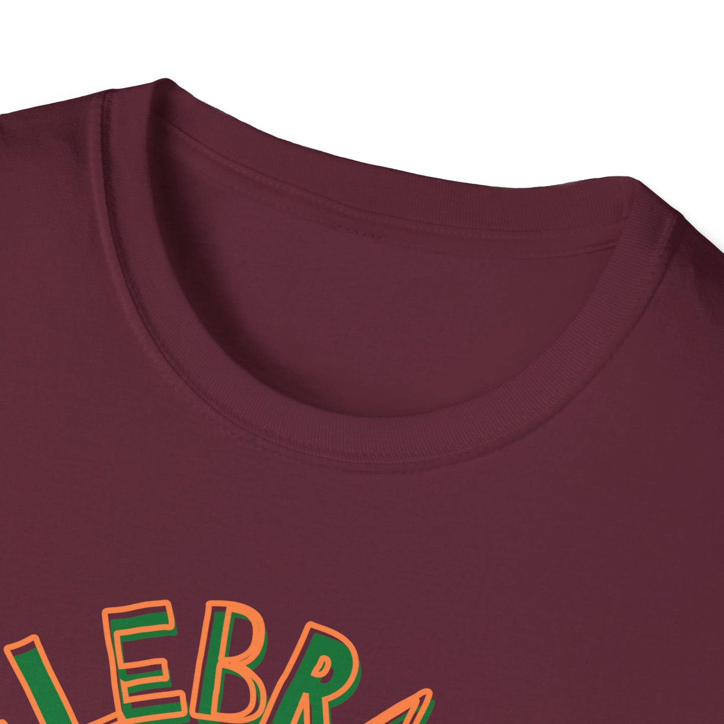 Juneteenth Celebrate Liberate Educate Shirt, Shirt for Juneteenth, Gift for Juneteenth, Shirt for Black History, American History Shirt - Mighty Lifestyle