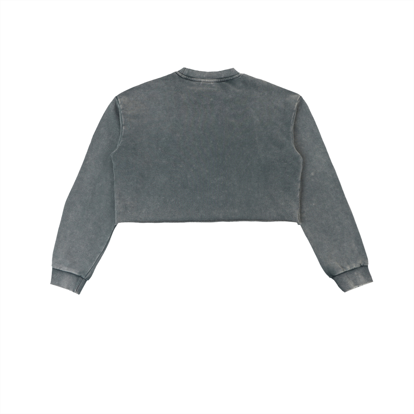 FAMU Sweater Florida A&M University Sweater FAMU Rattler FAMU Proud Snow Washed Raw Edge Cropped Sweatshirt | FAMU -Vs Ya’ll UGG’LASS
