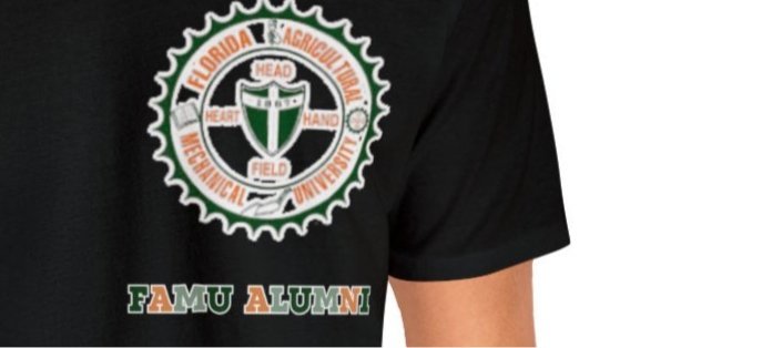 FAMU ALUMNI, Famu Shirt, HBCU Shirt, Gift For Grad - Mighty Lifestyle
