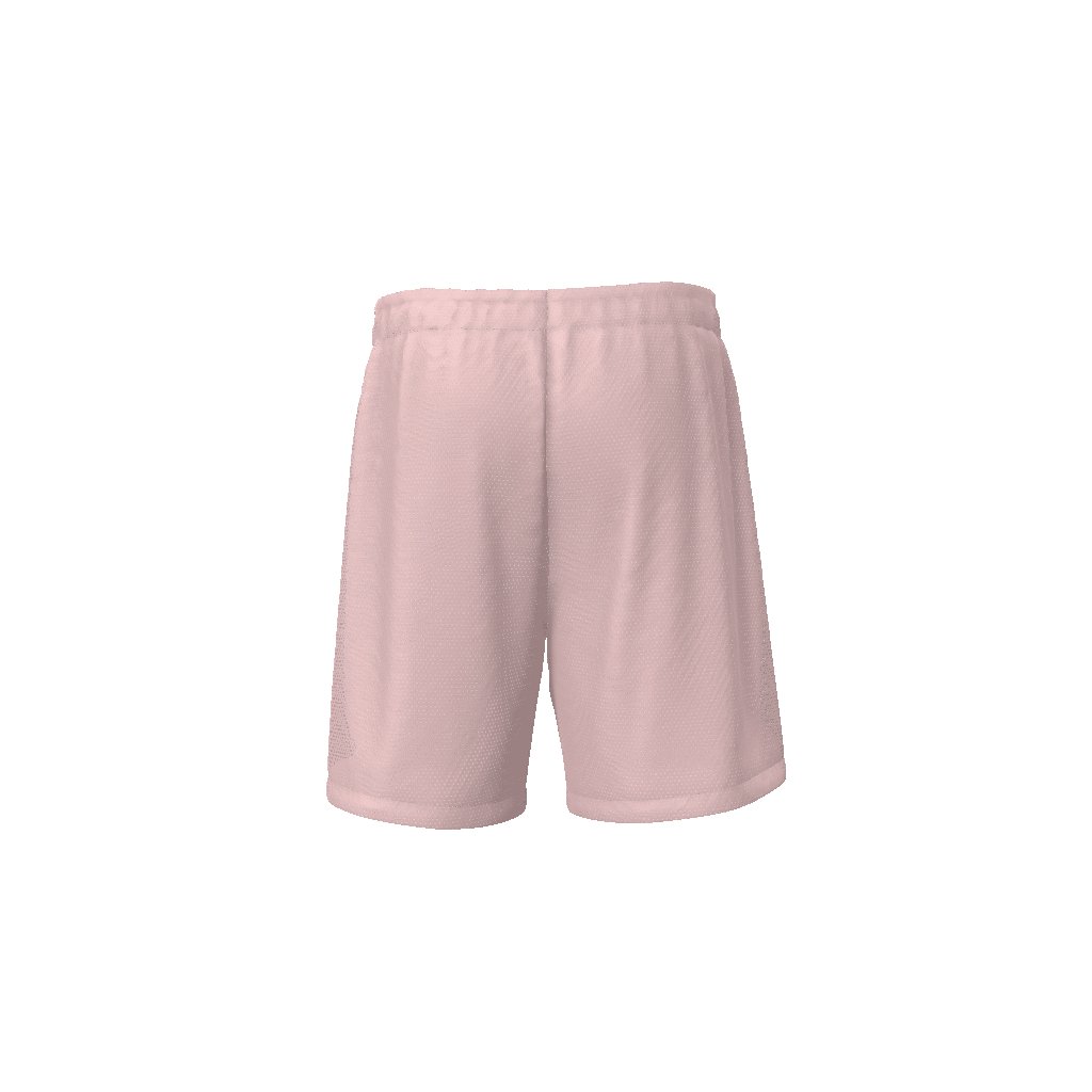 FAMU HBCU Sports Athletic Basketball Streetwear EE Shorts - Mighty Lifestyle