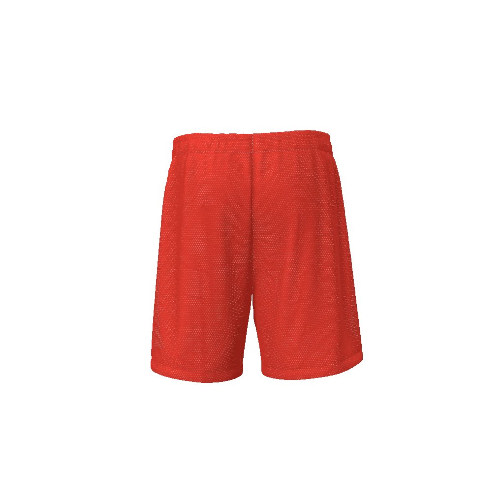 FAMU HBCU Sports Athletic Basketball Streetwear EE Shorts - Mighty Lifestyle