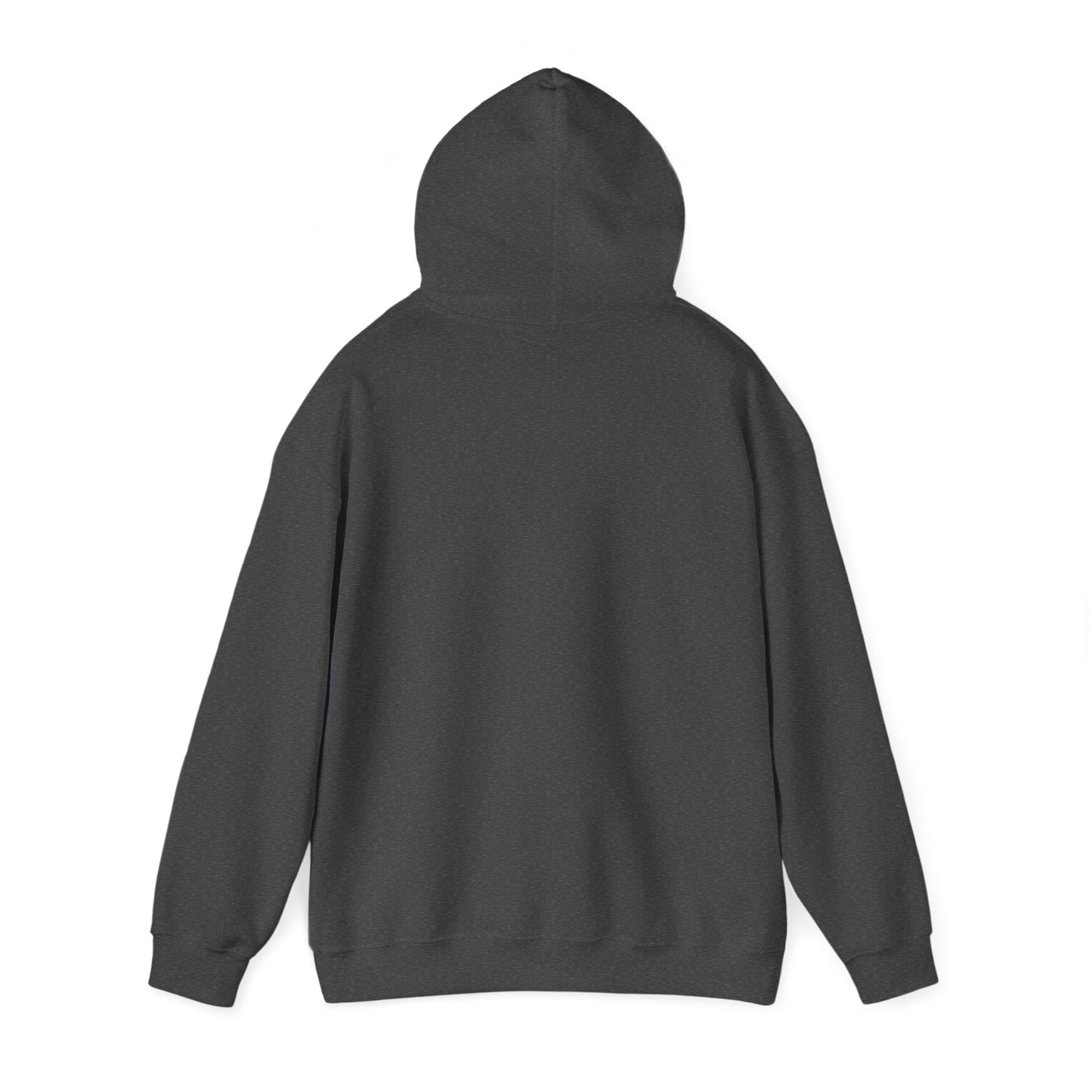 Flag Hoodie, Hoodie for patriots, Gift for Patriot, Independence Hoodie, Hoodie for men, Hoodie for women - Mighty Lifestyle