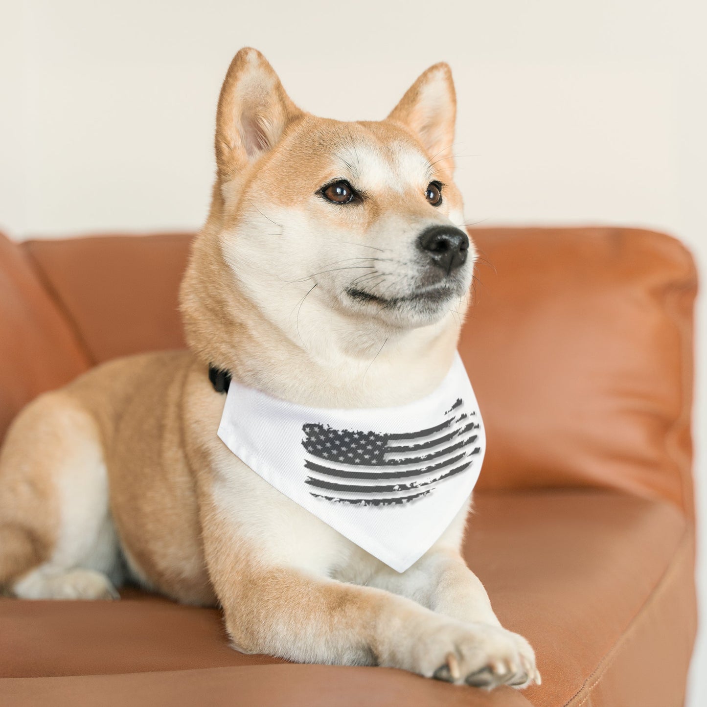 Grayed US Flag Collar, Dog collar, cat collar, pet collar - Mighty Lifestyle