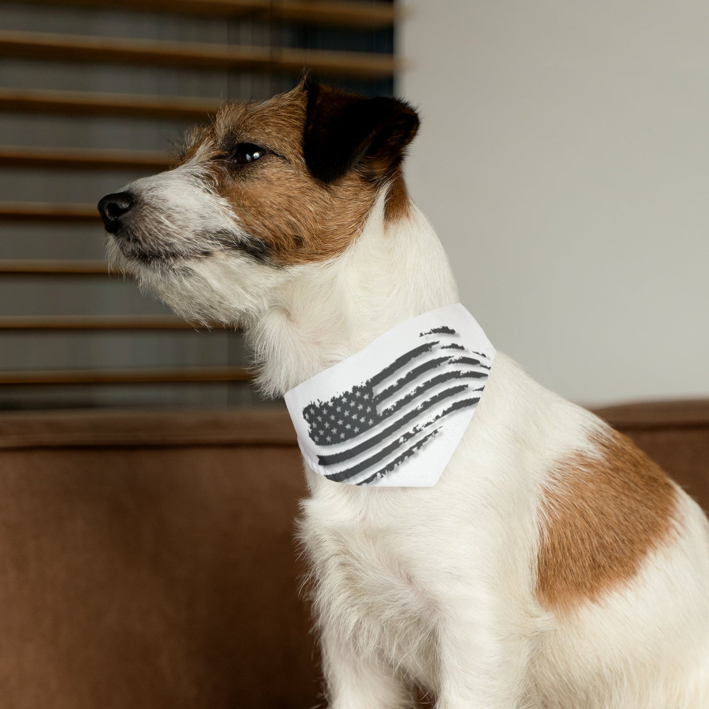 Grayed US Flag Collar, Dog collar, cat collar, pet collar - Mighty Lifestyle