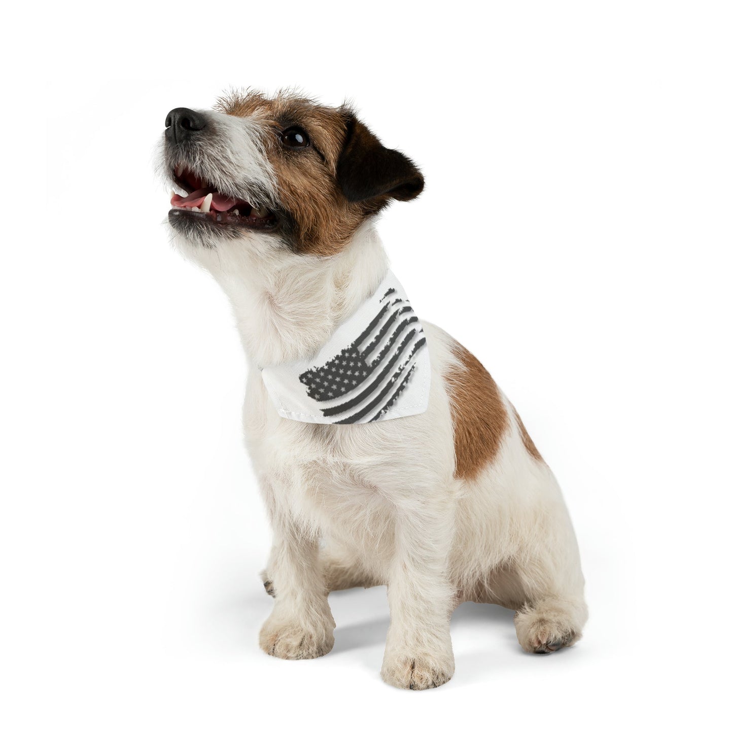 Grayed US Flag Collar, Dog collar, cat collar, pet collar - Mighty Lifestyle