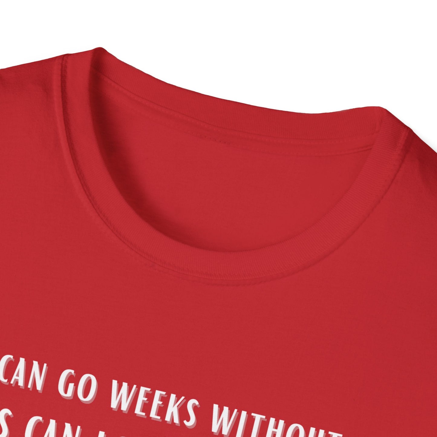 Lions Can Go Weeks Shirt, Tshirt of Inspiration, Motivation Shirt - Mighty Lifestyle