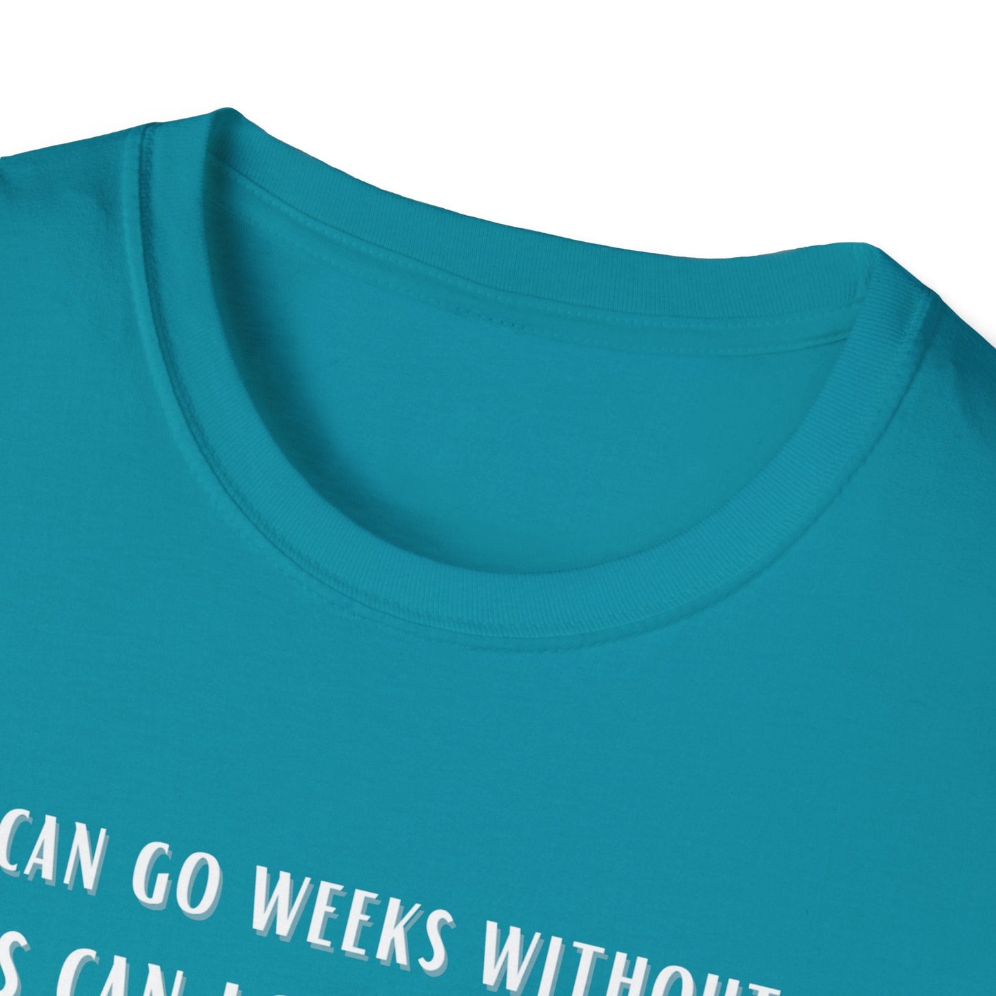 Lions Can Go Weeks Shirt, Tshirt of Inspiration, Motivation Shirt - Mighty Lifestyle