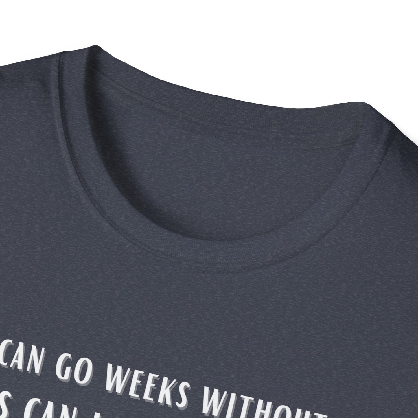 Lions Can Go Weeks Shirt, Tshirt of Inspiration, Motivation Shirt - Mighty Lifestyle
