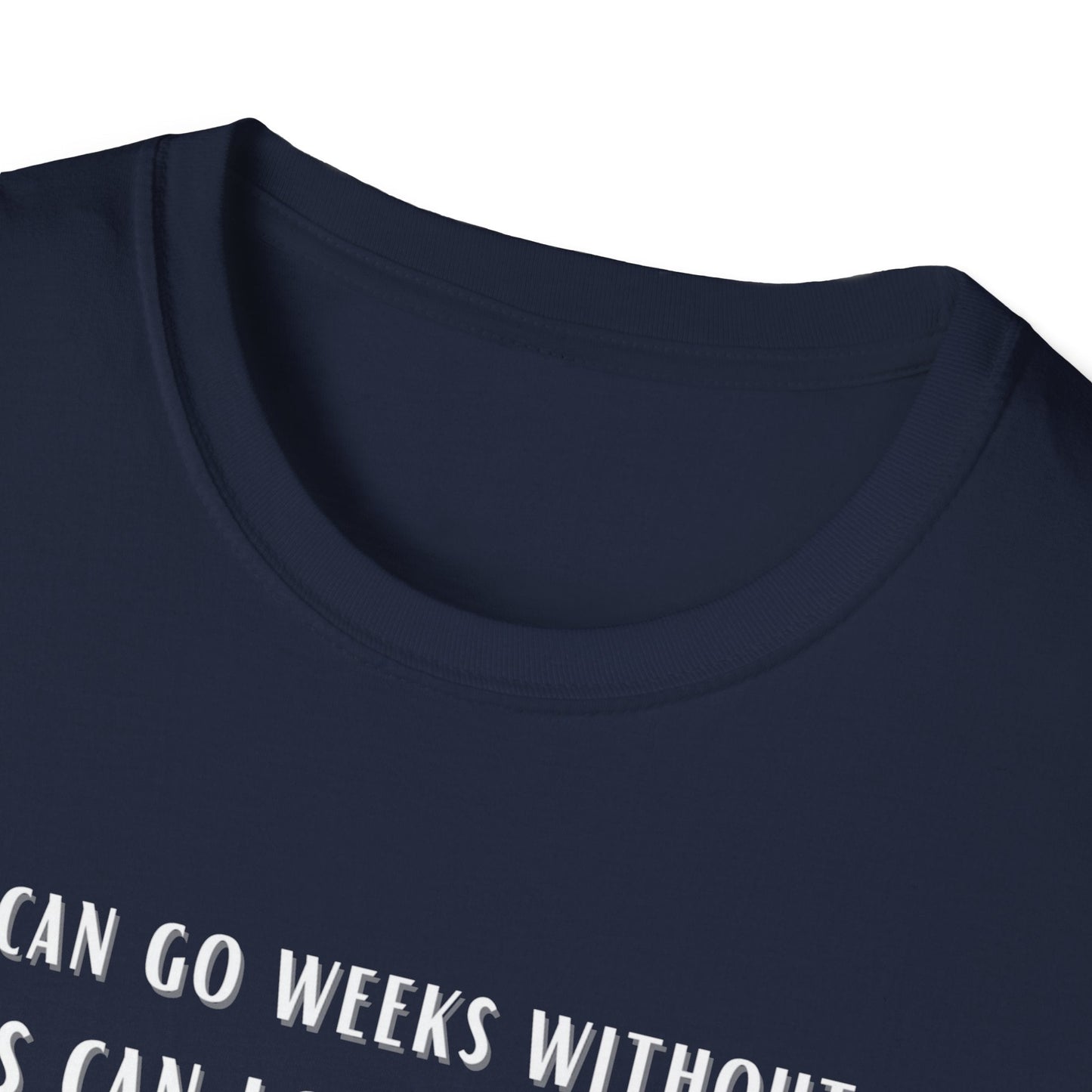 Lions Can Go Weeks Shirt, Tshirt of Inspiration, Motivation Shirt - Mighty Lifestyle