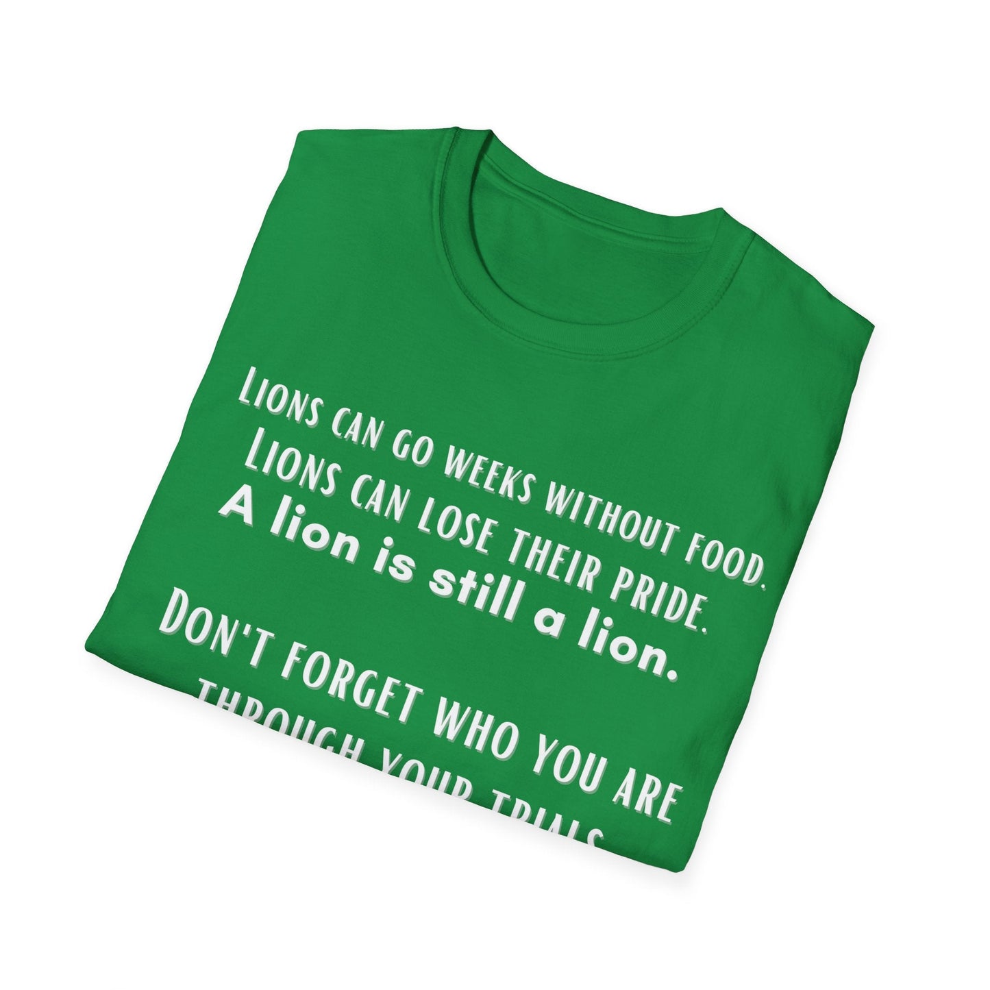 Lions Can Go Weeks Shirt, Tshirt of Inspiration, Motivation Shirt - Mighty Lifestyle