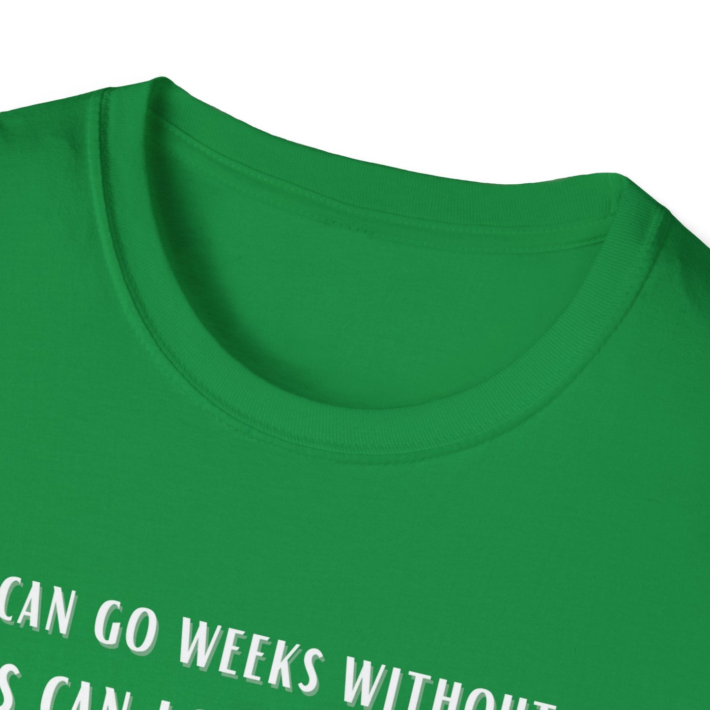Lions Can Go Weeks Shirt, Tshirt of Inspiration, Motivation Shirt - Mighty Lifestyle
