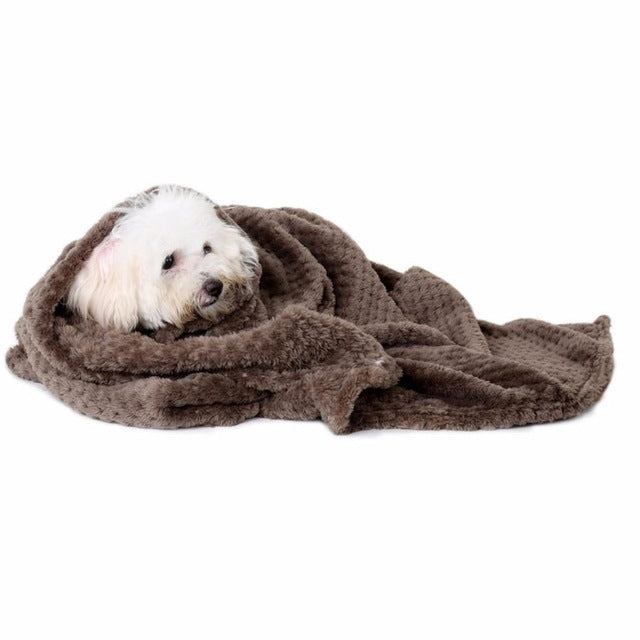 Neutral Pet Blanket | Soft Blanket for Pet | Blanket,Pet,Dog,Warm