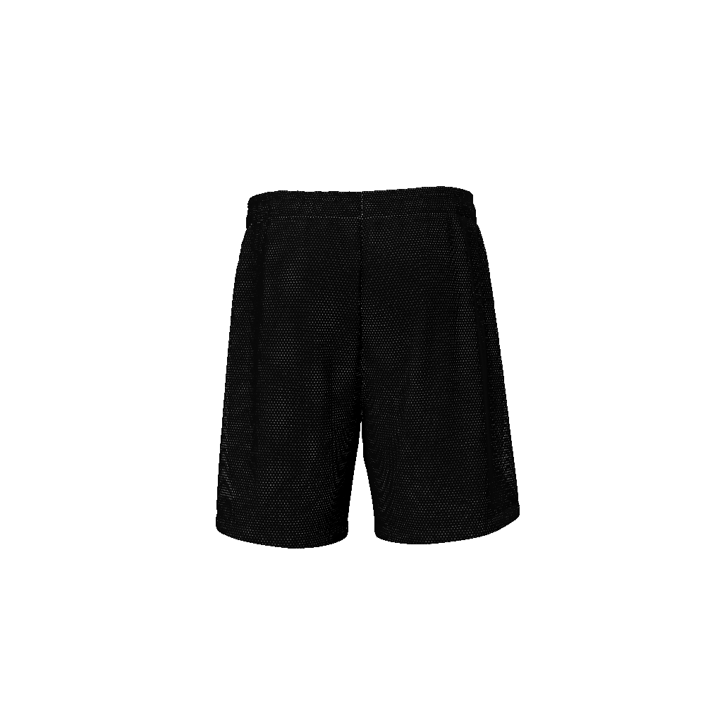 Basketball shorts,Sports shorts,MOQ1,Delivery days 5