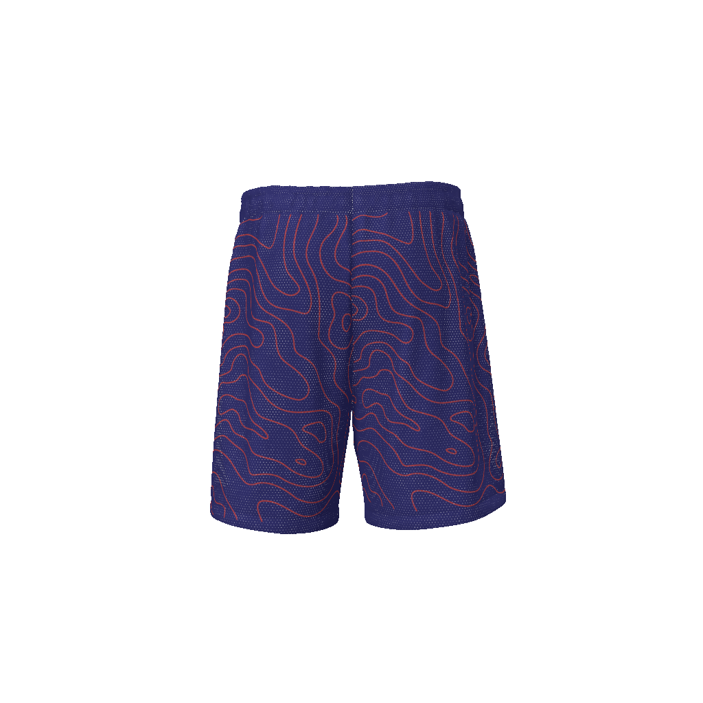 basketball shorts,sports shorts,MOQ1,Delivery days 5