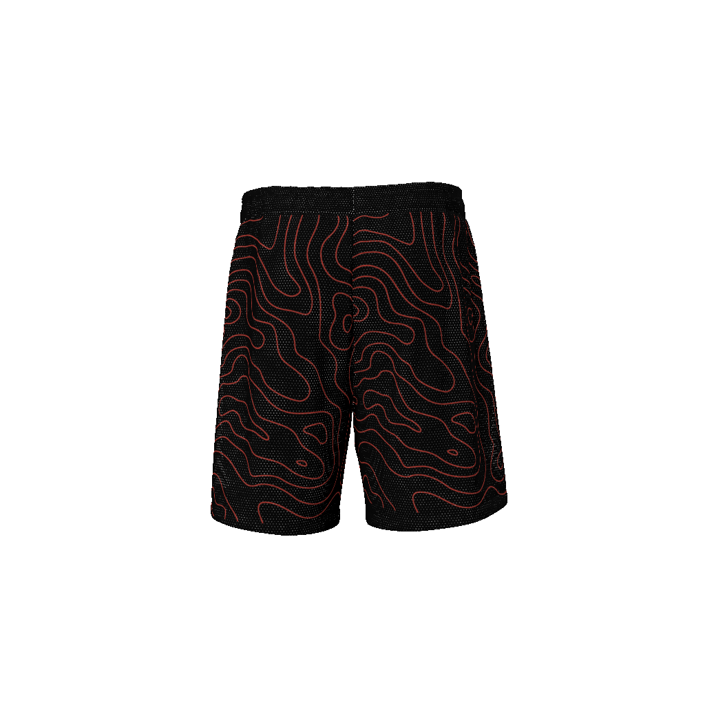 basketball shorts,sports shorts,MOQ1,Delivery days 5