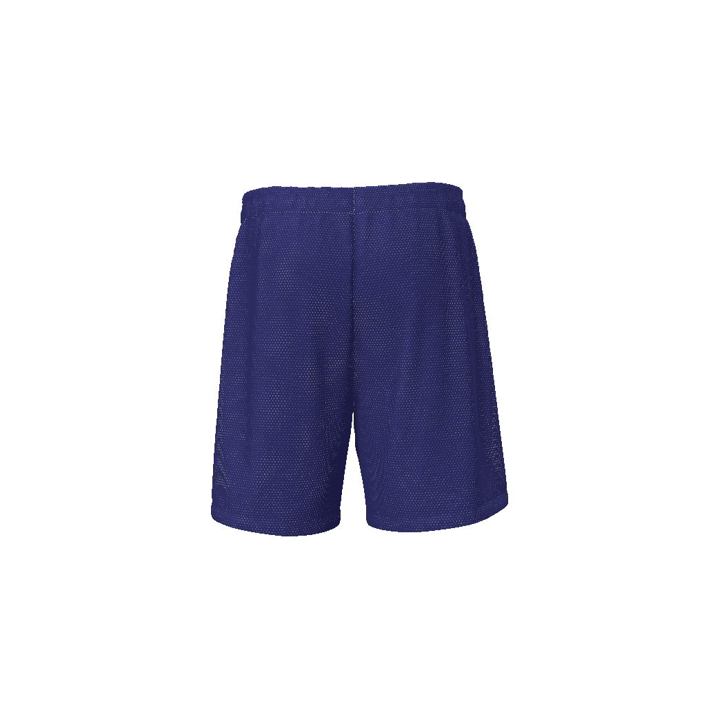 Basketball shorts,Sports shorts,MOQ1,Delivery days 5