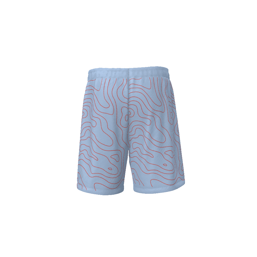 basketball shorts,sports shorts,MOQ1,Delivery days 5